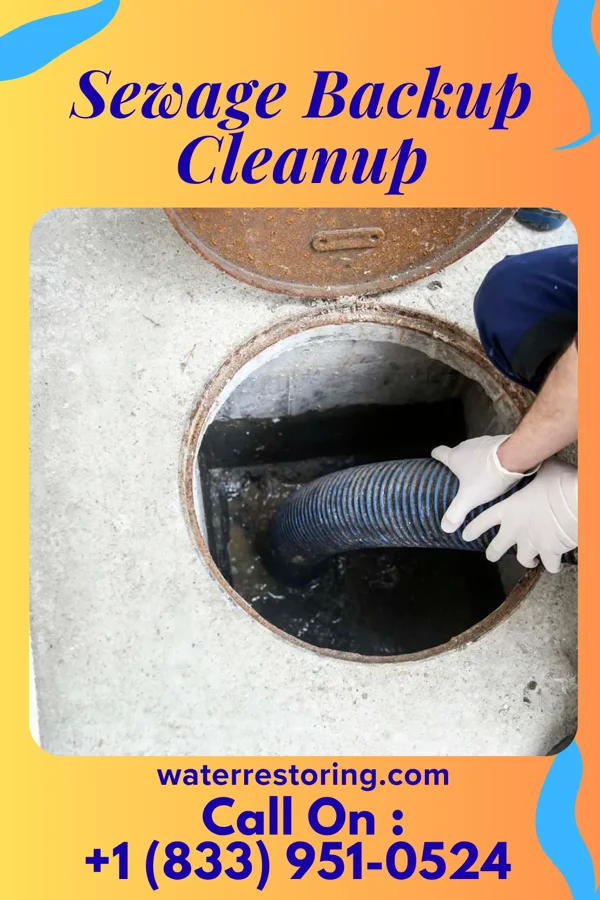 Sewage Backup Cleanup in Upper Nyack, NY