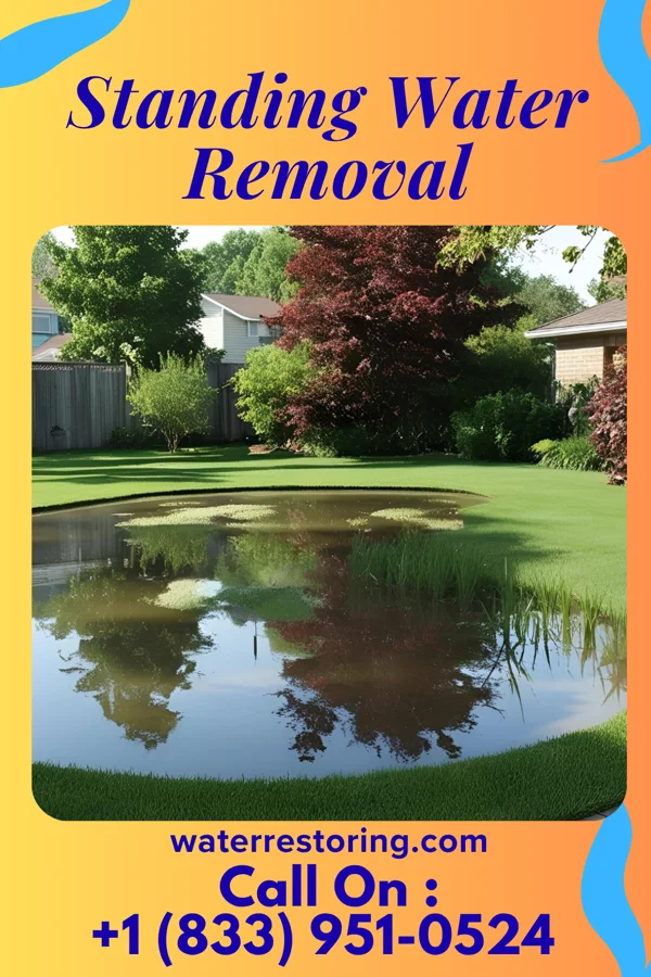 Standing Water Removal in Upper Nyack, NY
